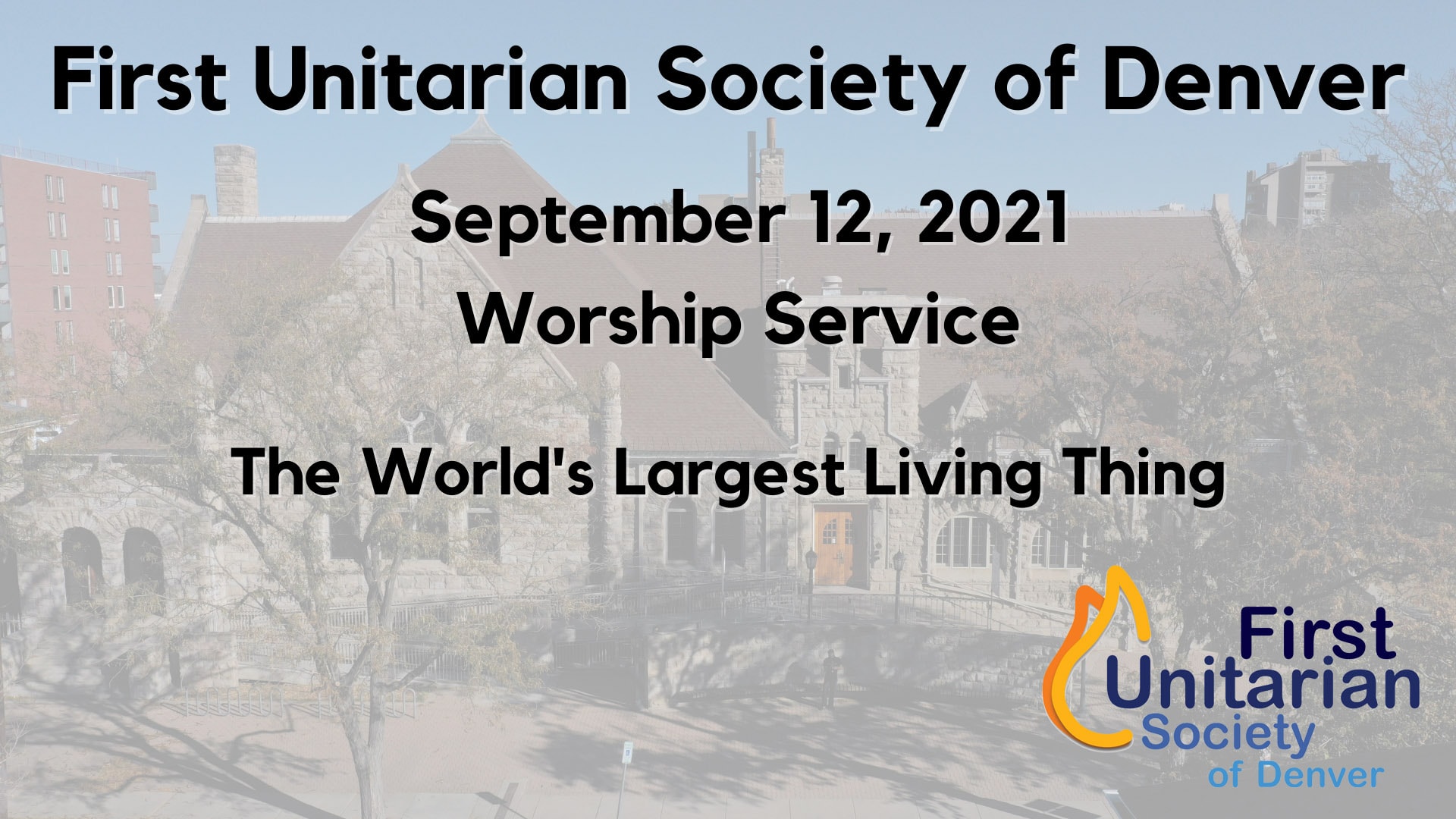 September 12 2021 Worship Service The World s Largest Living Thing 